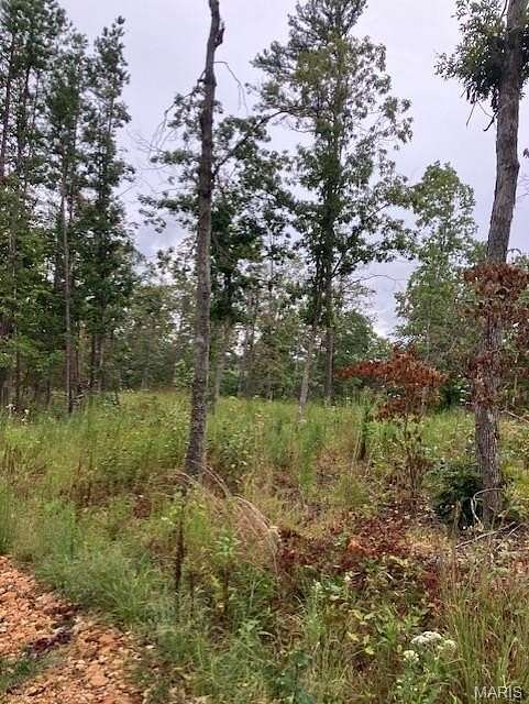99 Acres of Recreational Land for Sale in Fredericktown, Missouri