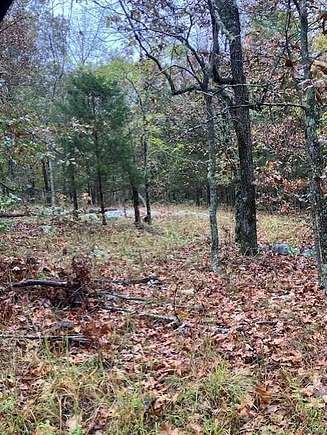 5.547 Acres of Agricultural Land for Sale in Fredericktown, Missouri