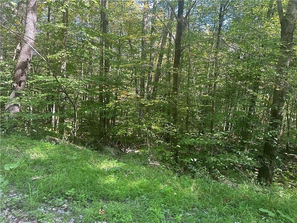 2.63 Acres of Residential Land for Sale in Fremont Town, New York