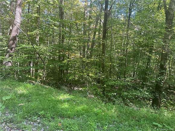 2.63 Acres of Residential Land for Sale in Fremont Center, New York