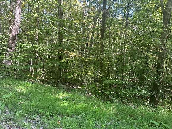 2.63 Acres of Residential Land for Sale in Fremont Center, New York