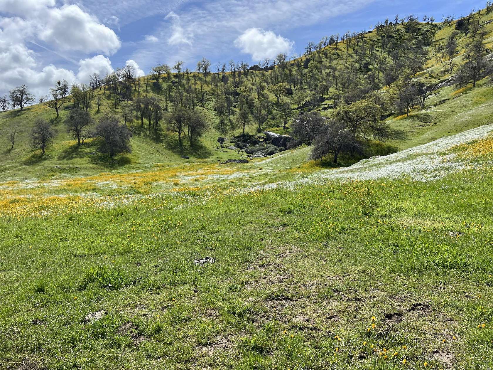 62.9 Acres of Land for Sale in Springville, California