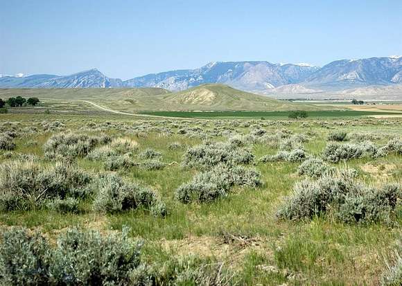 35.59 Acres of Land for Sale in Clark, Wyoming