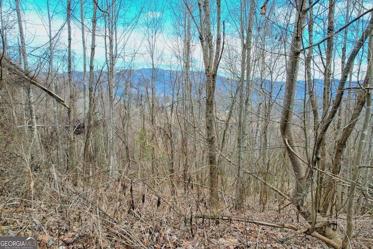 5.58 Acres of Land for Sale in Hayesville, North Carolina