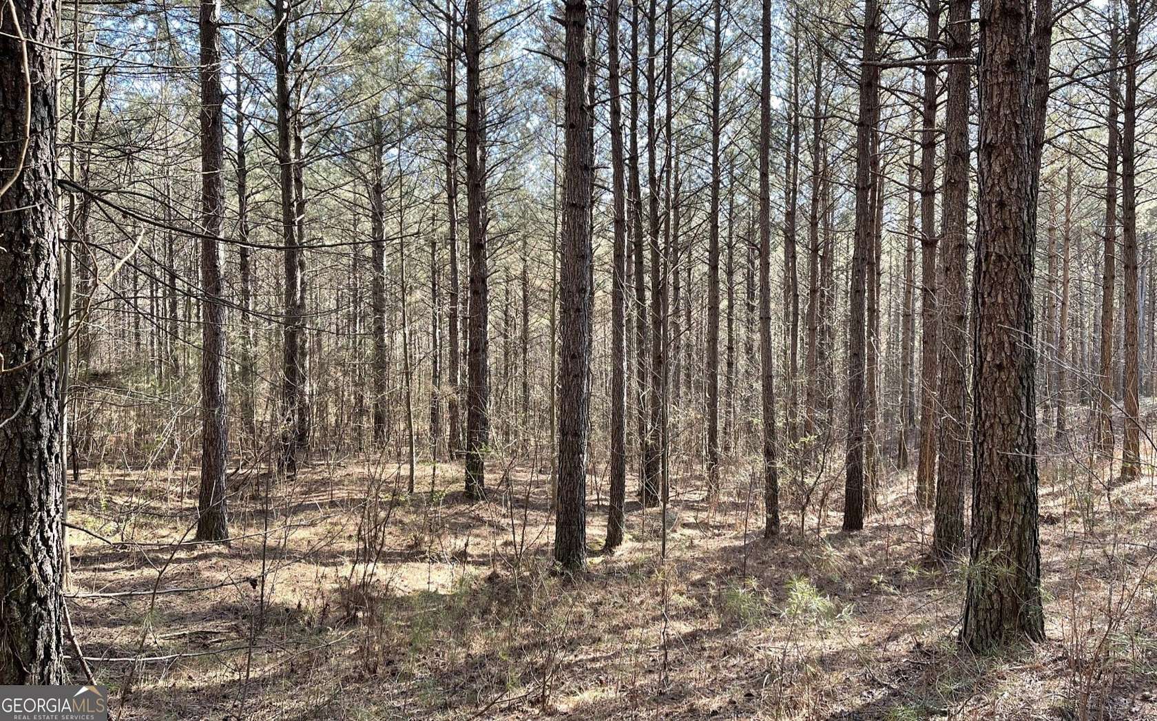 1.5 Acres of Residential Land for Sale in Ellijay, Georgia