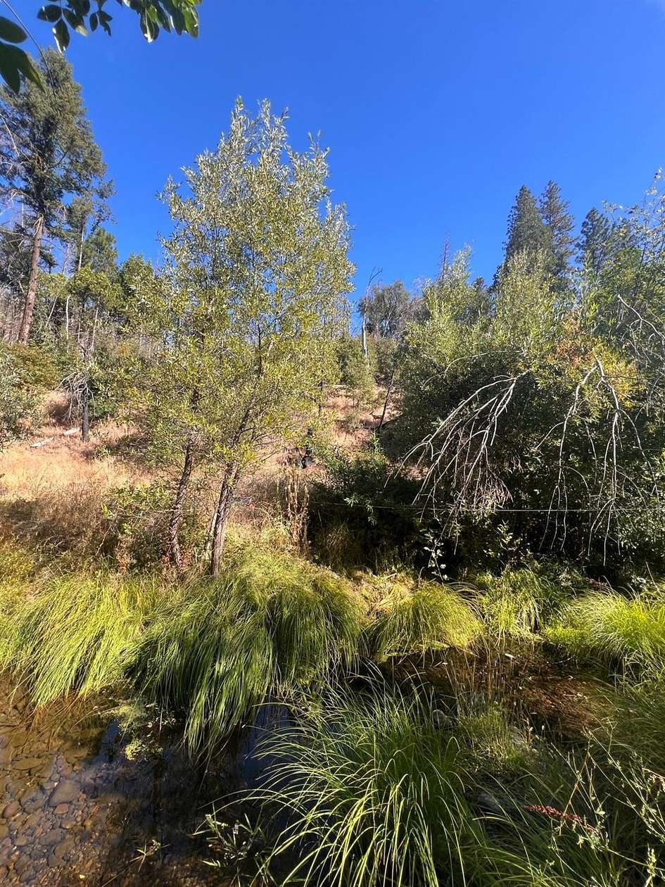 20 Acres of Recreational Land for Sale in Mountain Ranch, California