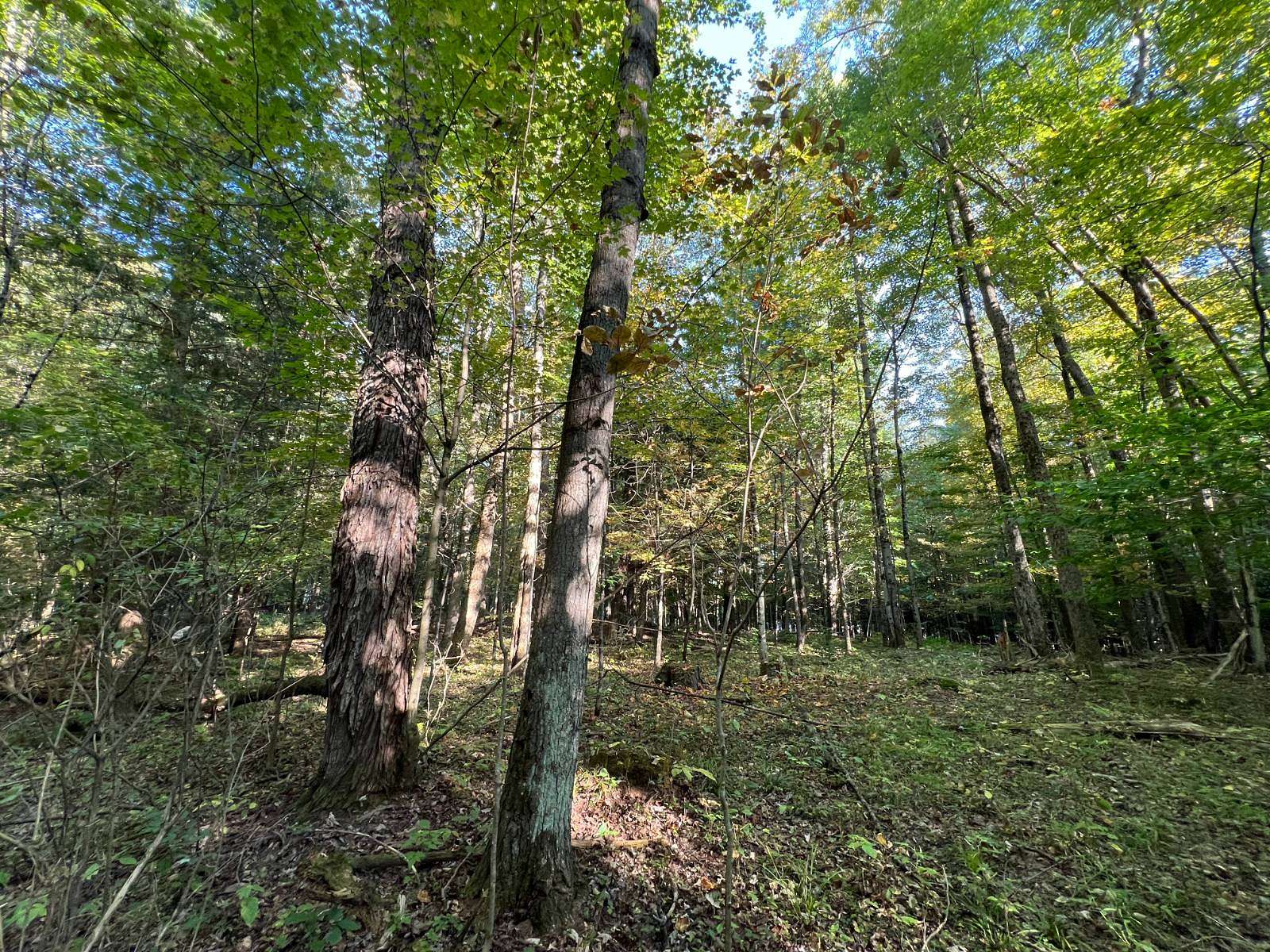 2.09 Acres of Land for Sale in Glenfield, New York