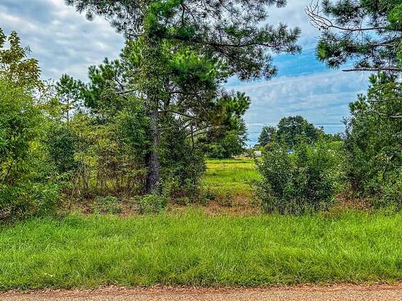 0.185 Acres of Residential Land for Sale in Chandler, Texas