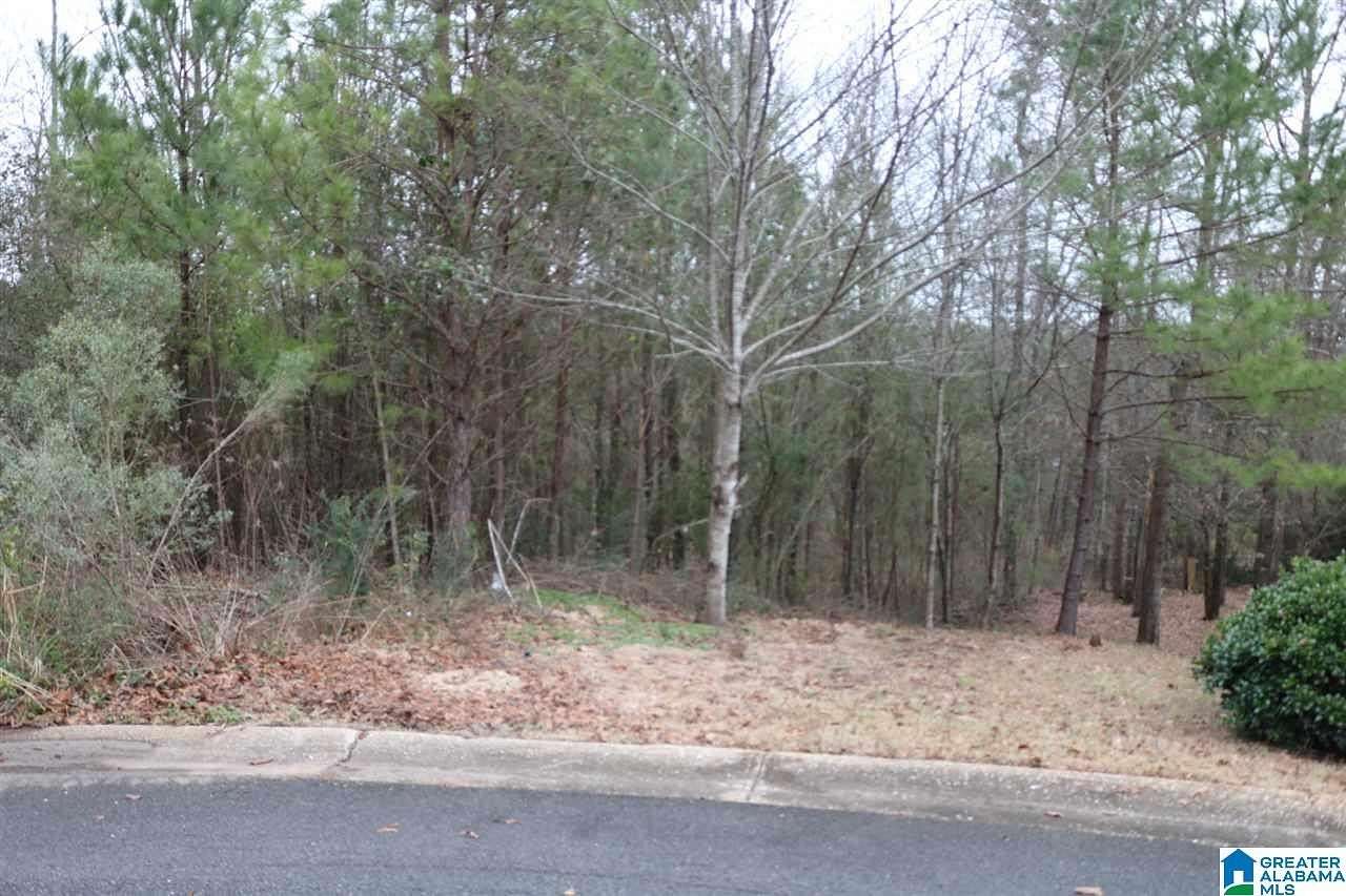 0.34 Acres of Land for Sale in Concord, Alabama