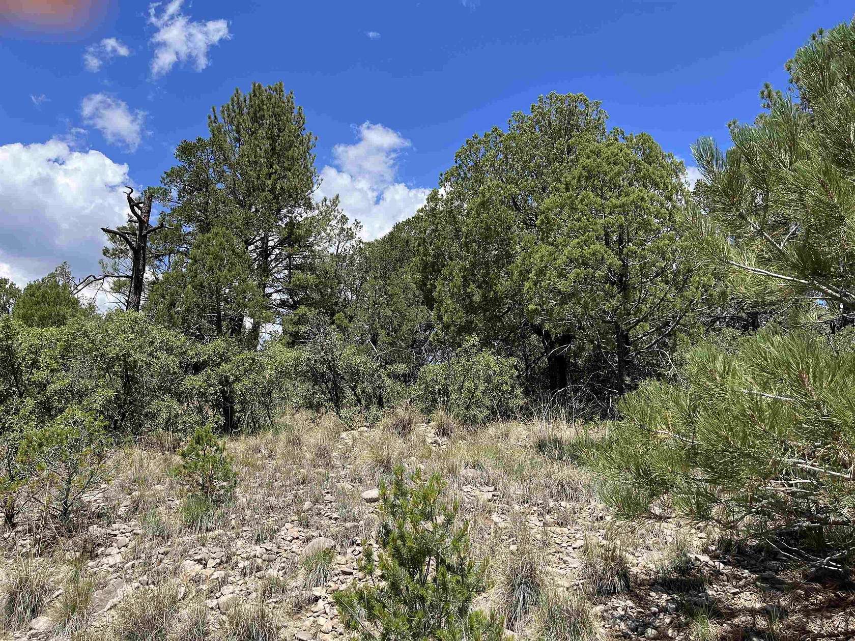 0.502 Acres of Residential Land for Sale in Timberon, New Mexico