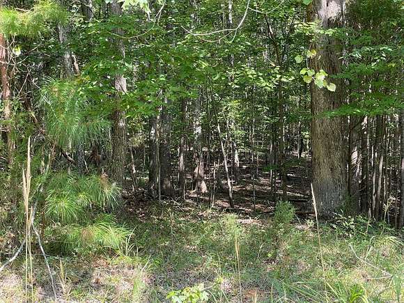 0.72 Acres of Residential Land for Sale in Laurens, South Carolina