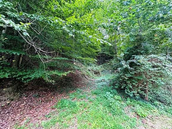 133 Acres of Land for Sale in Pikeville, Kentucky