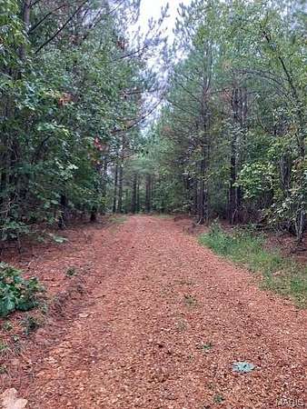 45 Acres of Recreational Land for Sale in Fredericktown, Missouri