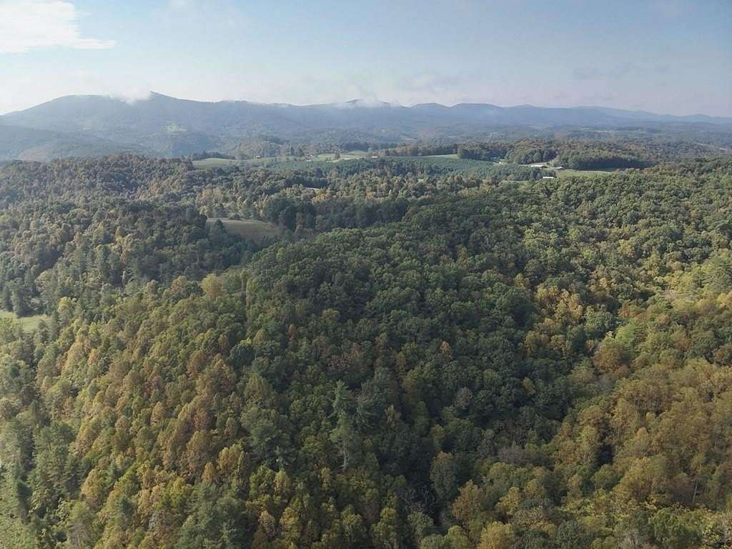 129.8 Acres of Land for Sale in Independence, Virginia