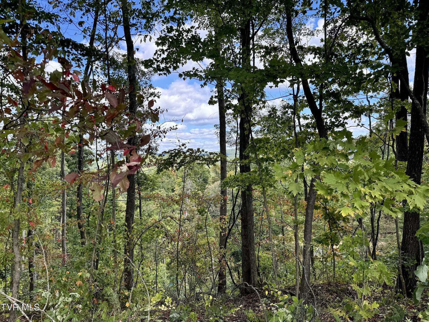 153.82 Acres of Recreational Land for Sale in Clinchco, Virginia