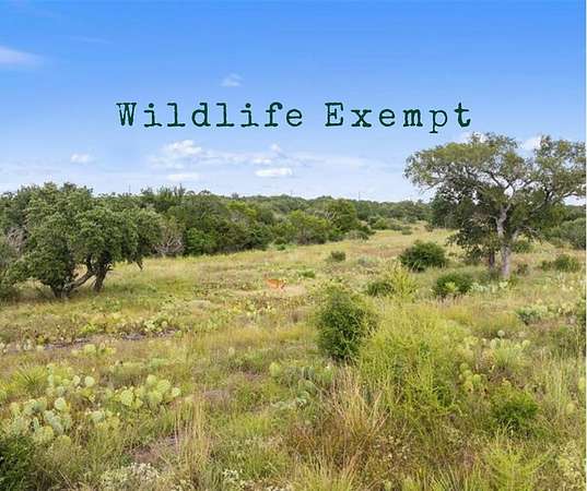 5 Acres of Residential Land for Sale in Round Mountain, Texas