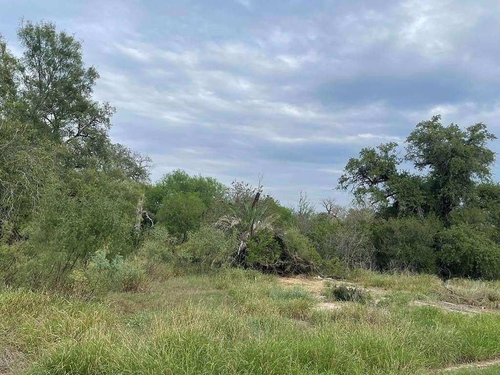 Residential Land for Sale in Crystal City, Texas