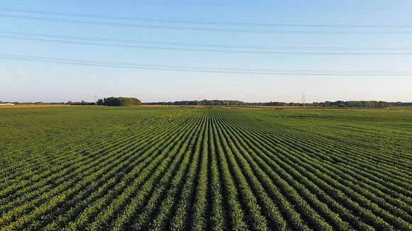 248.46 Acres of Agricultural Land for Auction in North Mankato, Minnesota