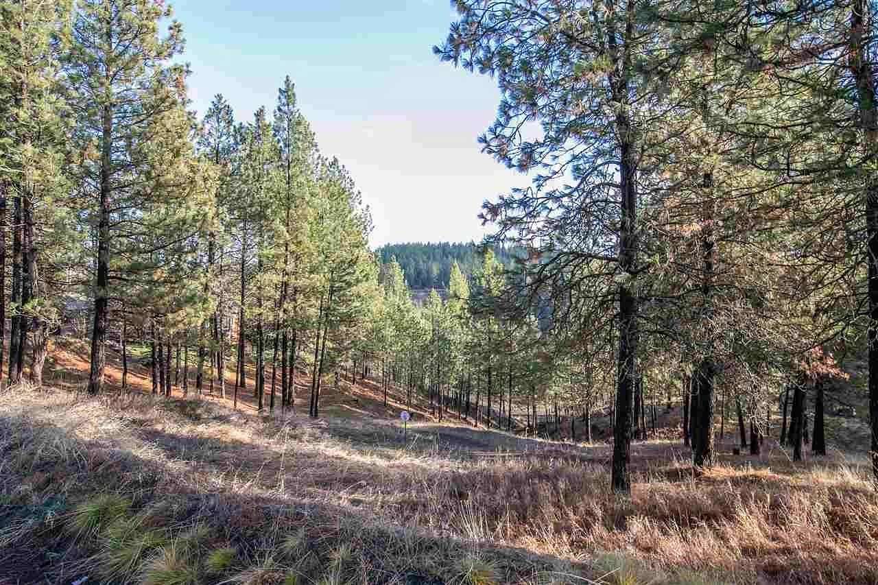 1 Acre of Residential Land for Sale in Spokane, Washington