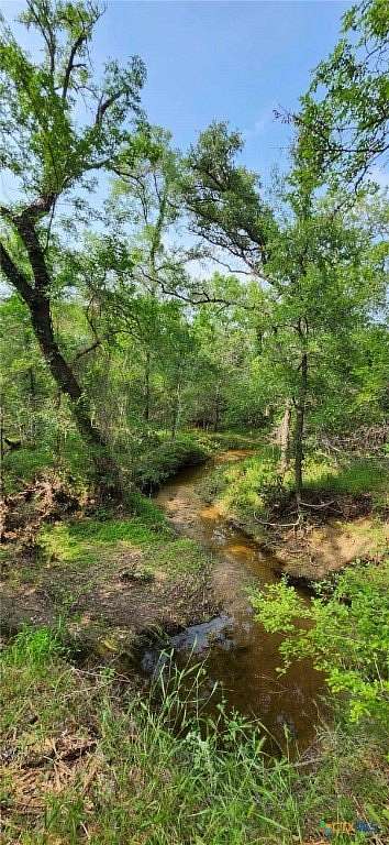 14.95 Acres of Recreational Land for Sale in Holland, Texas