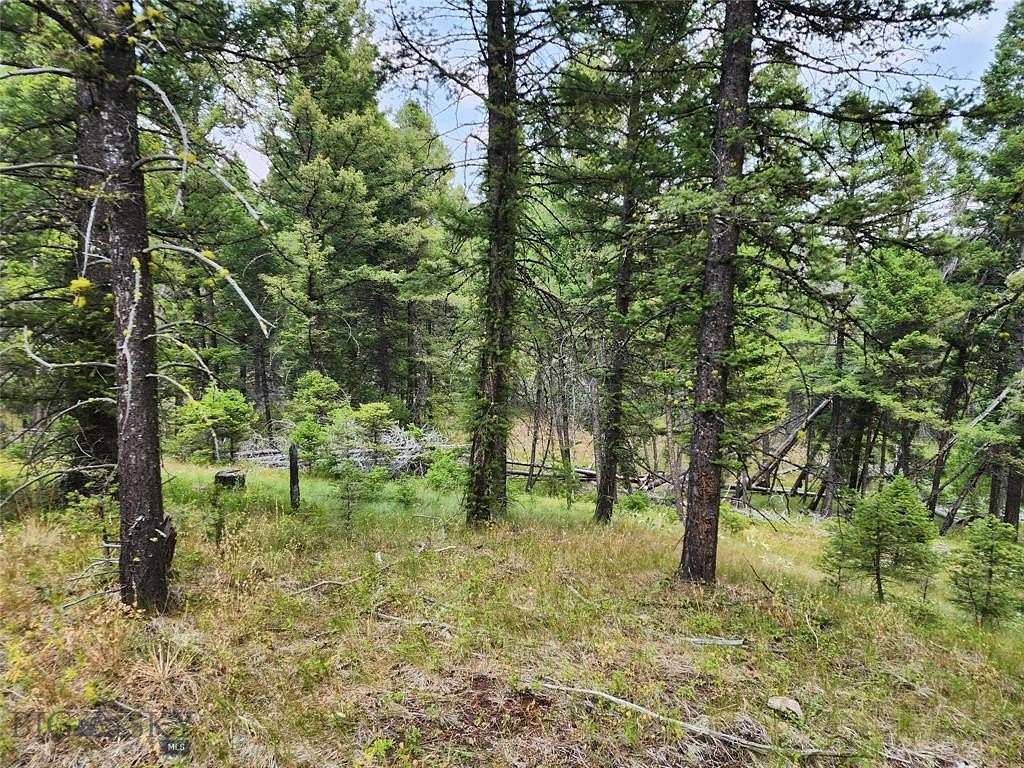 20 Acres of Recreational Land for Sale in Drummond, Montana