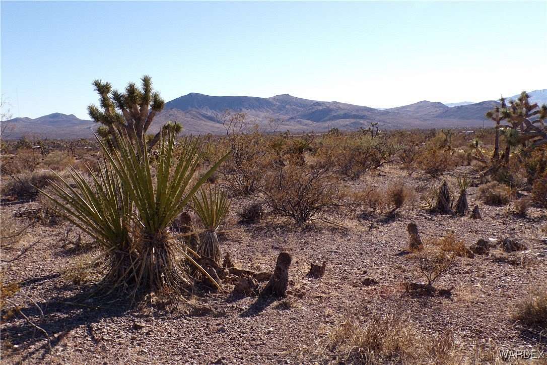 1.08 Acres of Residential Land for Sale in White Hills, Arizona