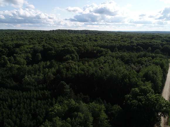 80 Acres of Recreational Land for Sale in Chase, Michigan