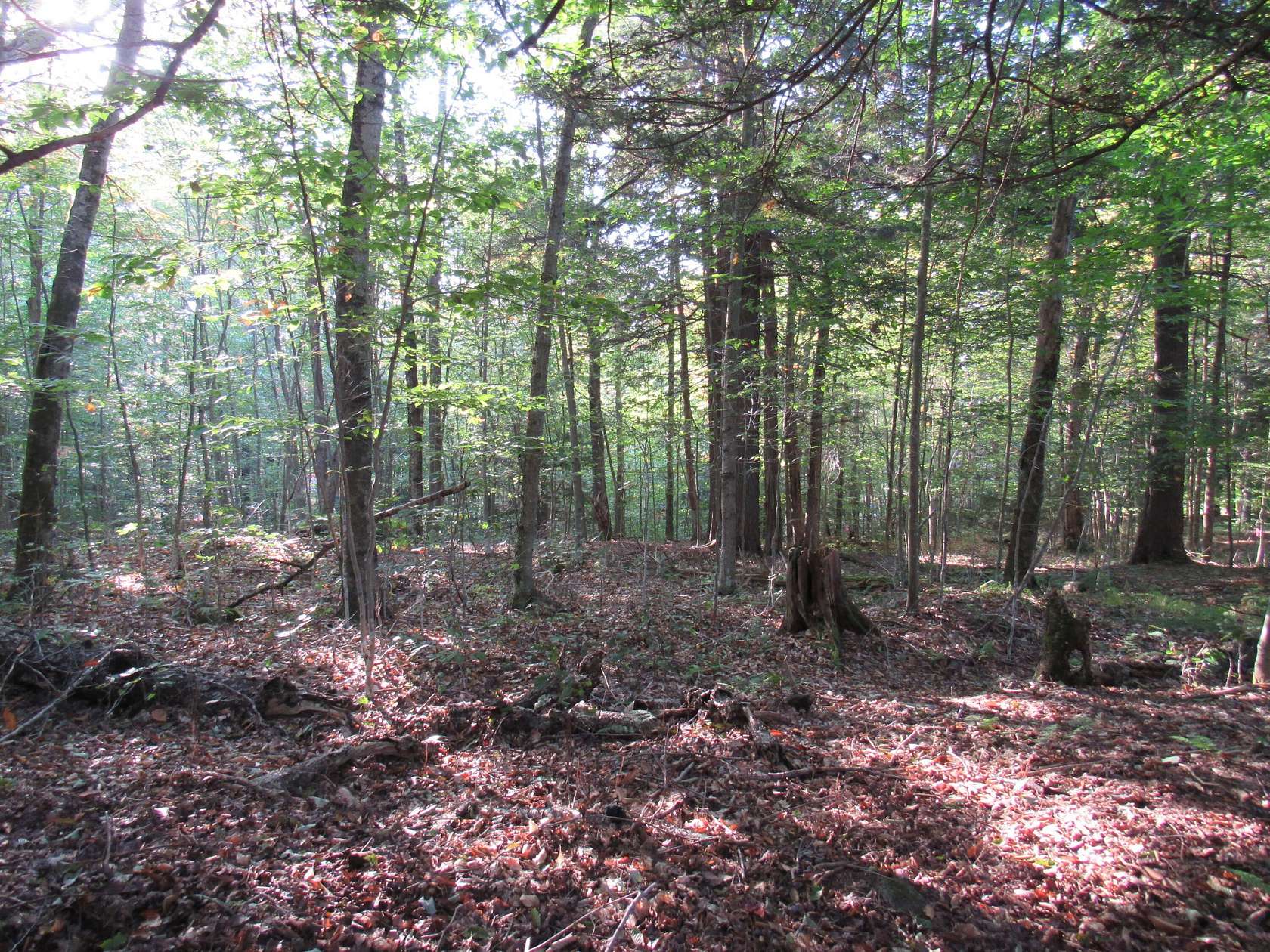 0.75 Acres of Land for Sale in Old Forge, New York