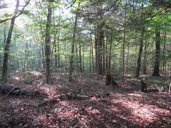 0.75 Acres of Land for Sale in Old Forge, New York