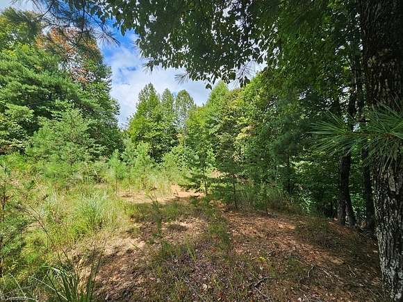 4.6 Acres of Residential Land for Sale in Millers Creek, North Carolina