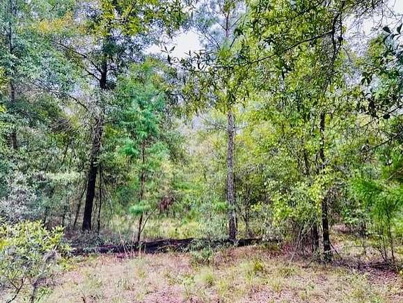 6.5 Acres of Residential Land for Sale in Branford, Florida