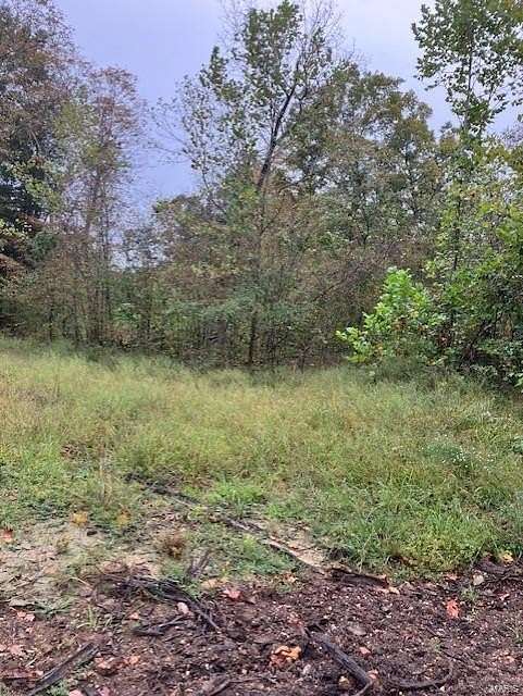 36.996 Acres of Recreational Land & Farm for Sale in Fredericktown, Missouri