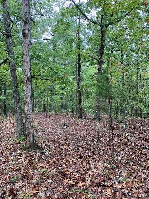 17.7 Acres of Land for Sale in Fredericktown, Missouri