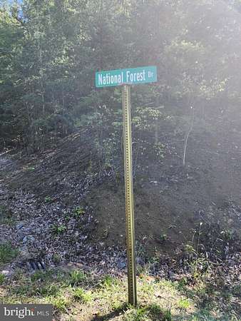 11.2 Acres of Recreational Land for Sale in Milam, West Virginia