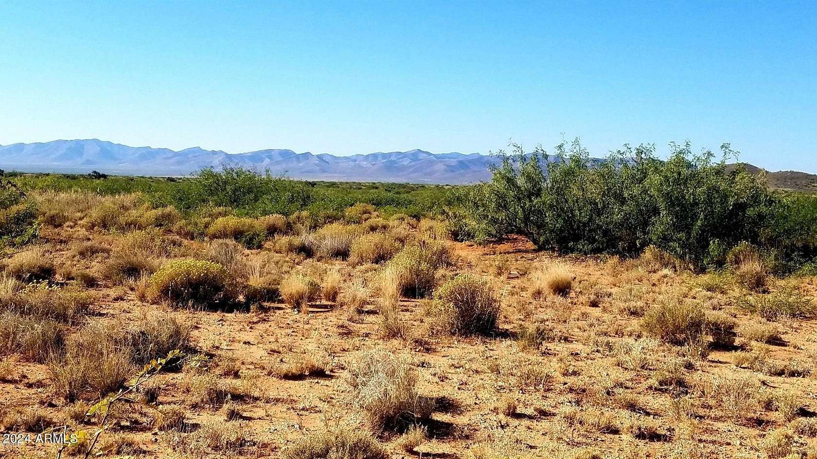 38.61 Acres of Land for Sale in Elfrida, Arizona