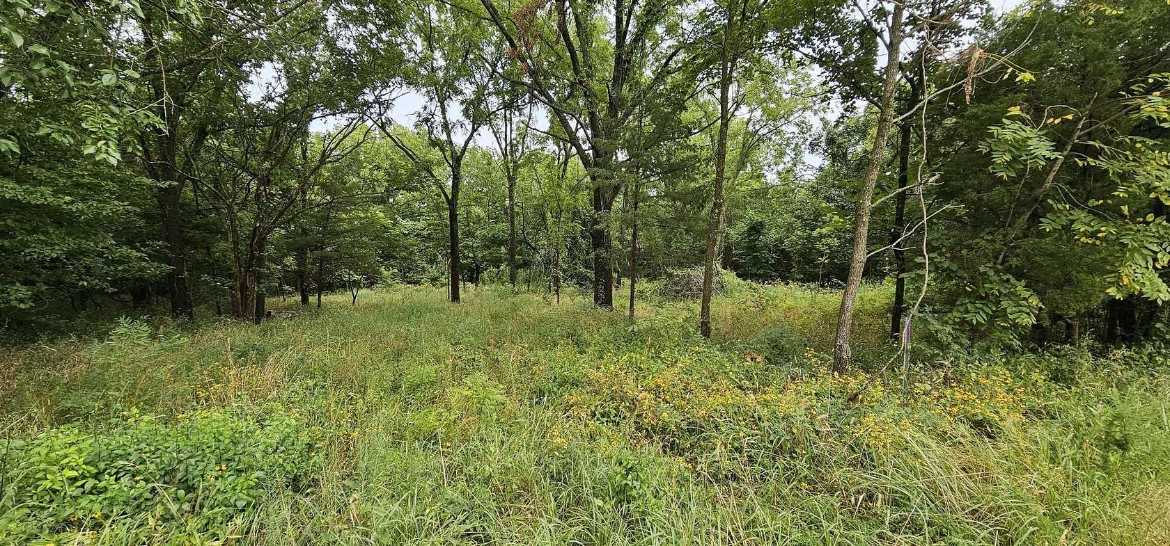 0.96 Acres of Residential Land for Sale in Mount Vernon, Missouri