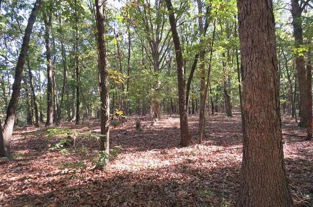 3.7 Acres of Land for Sale in Niangua, Missouri