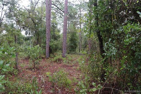 0.33 Acres of Residential Land for Sale in Dunnellon, Florida