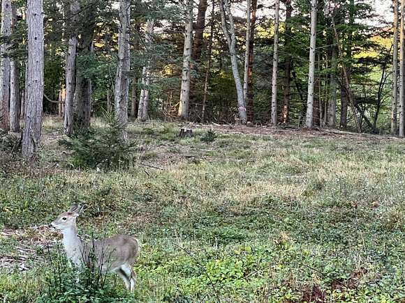 1.04 Acres of Residential Land for Sale in Ludington, Michigan