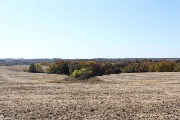 40 Acres of Recreational Land & Farm for Sale in Douds, Iowa