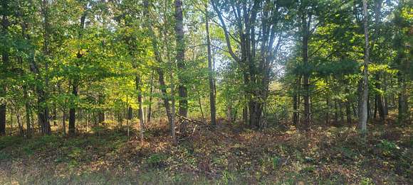 Residential Land for Sale in Oscoda, Michigan