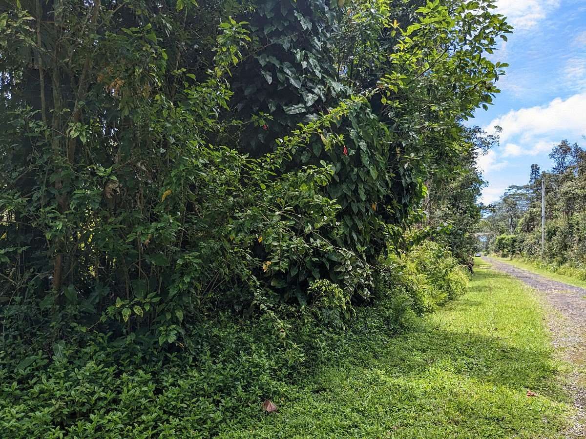 0.194 Acres of Residential Land for Sale in Pahoa, Hawaii