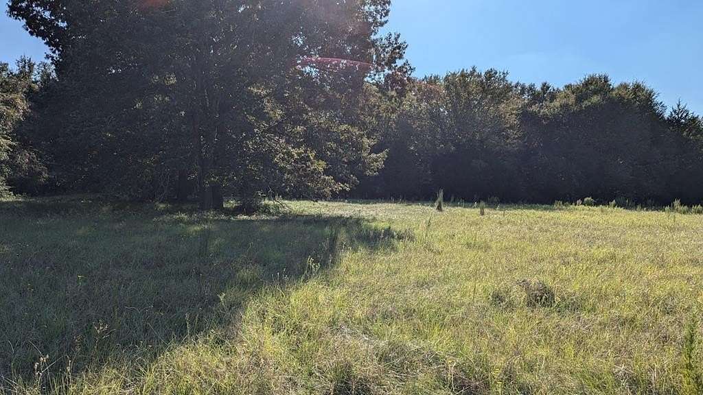 54.12 Acres of Land for Sale in Oakwood, Texas