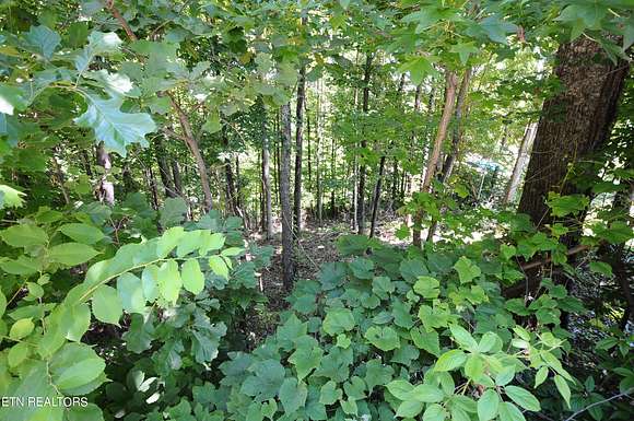 0.42 Acres of Residential Land for Sale in Caryville, Tennessee