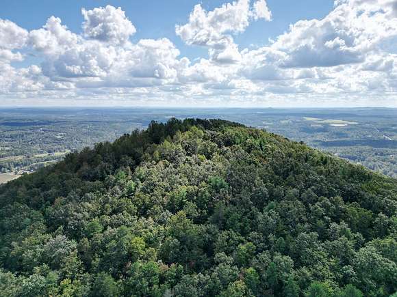 172.64 Acres of Recreational Land for Sale in Connelly Springs, North Carolina