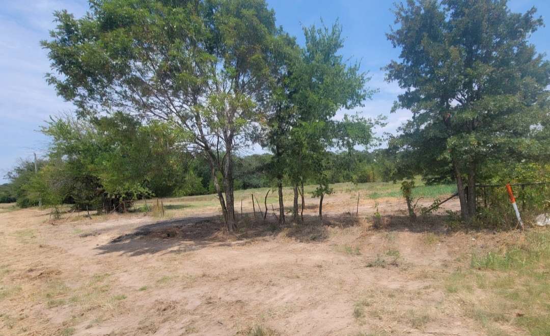 5 Acres of Residential Land for Sale in Telephone, Texas