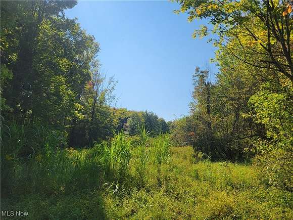 55.337 Acres of Recreational Land for Auction in Kingsville, Ohio