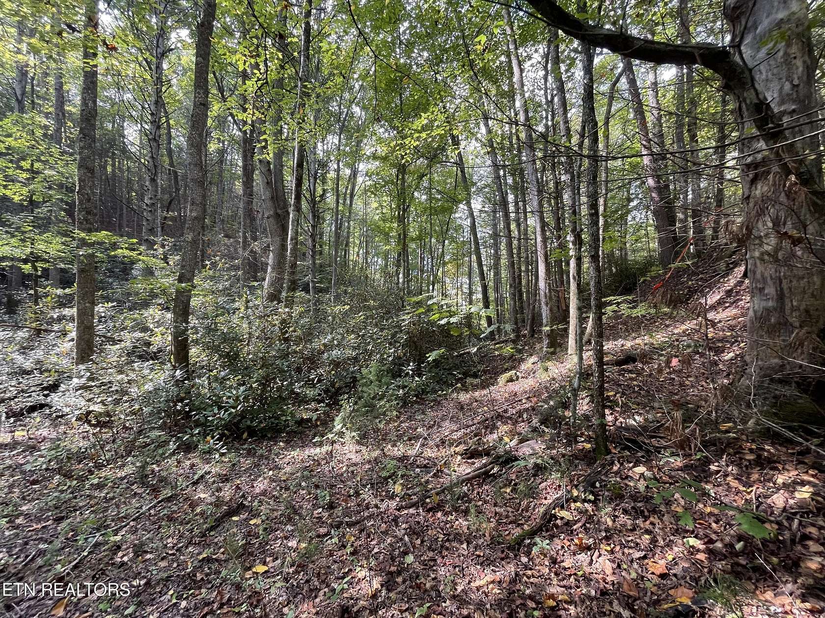 8.27 Acres of Land for Sale in Tellico Plains, Tennessee