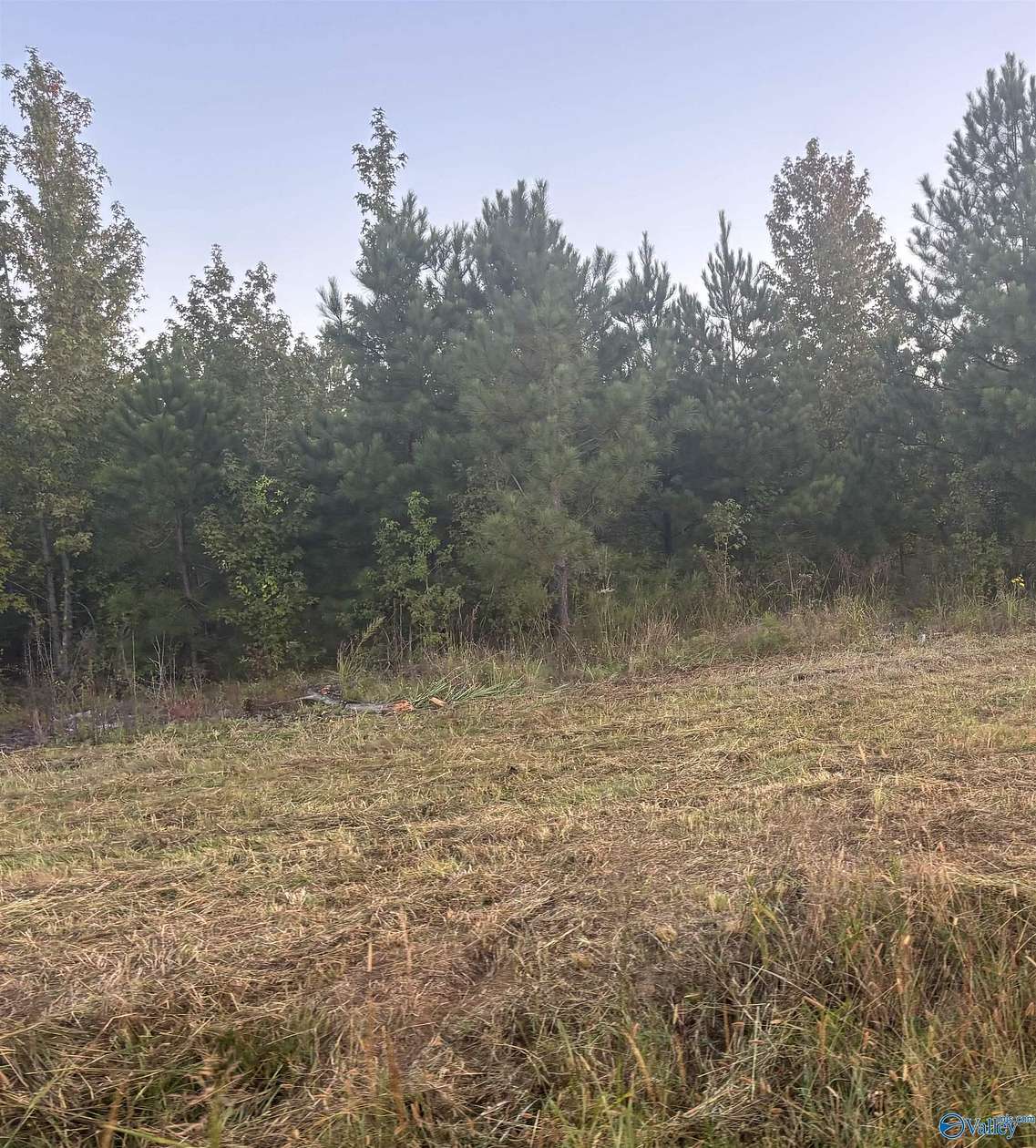 3 Acres of Land for Sale in Centre, Alabama