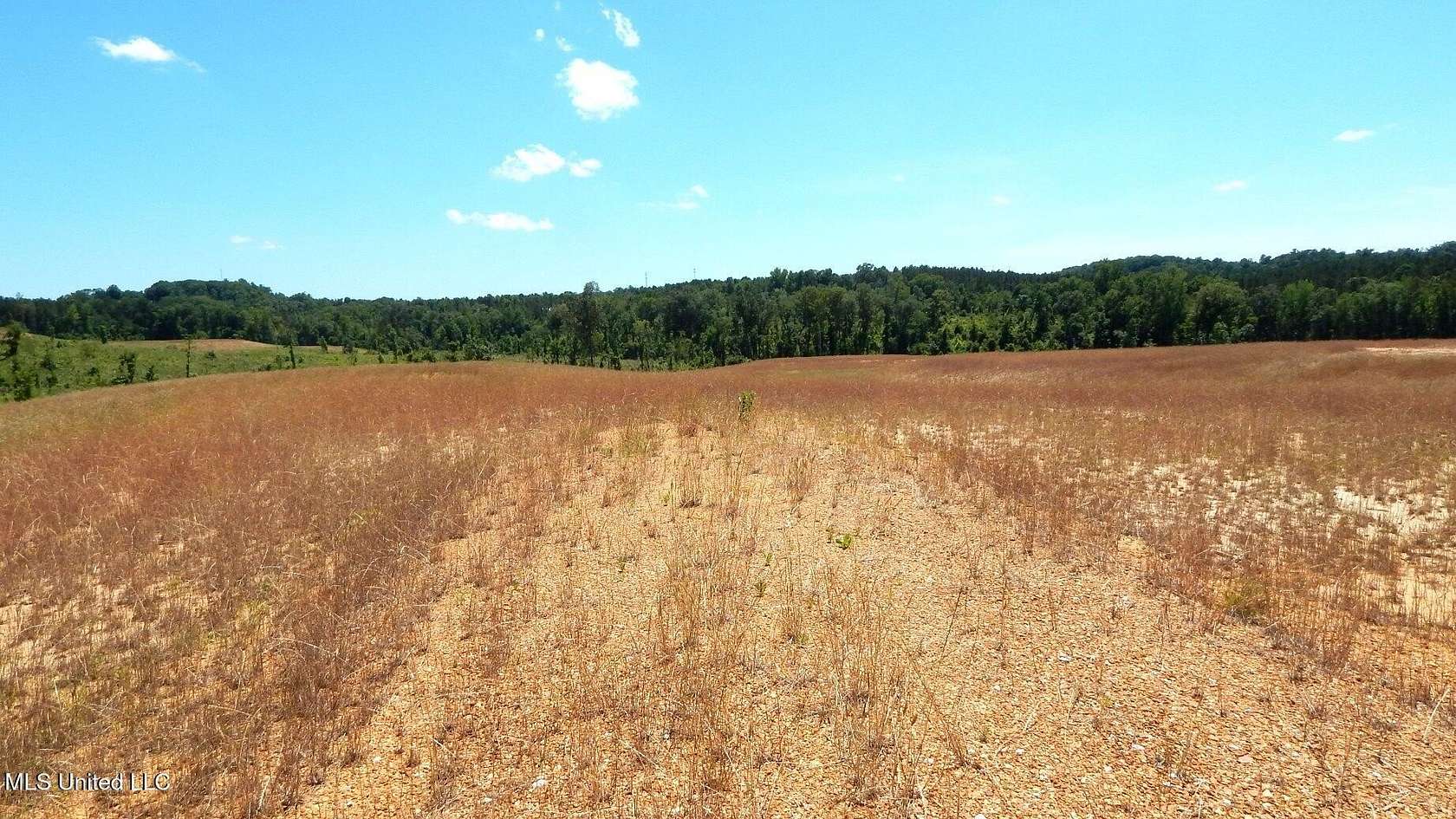 7.46 Acres of Residential Land for Sale in Grenada, Mississippi